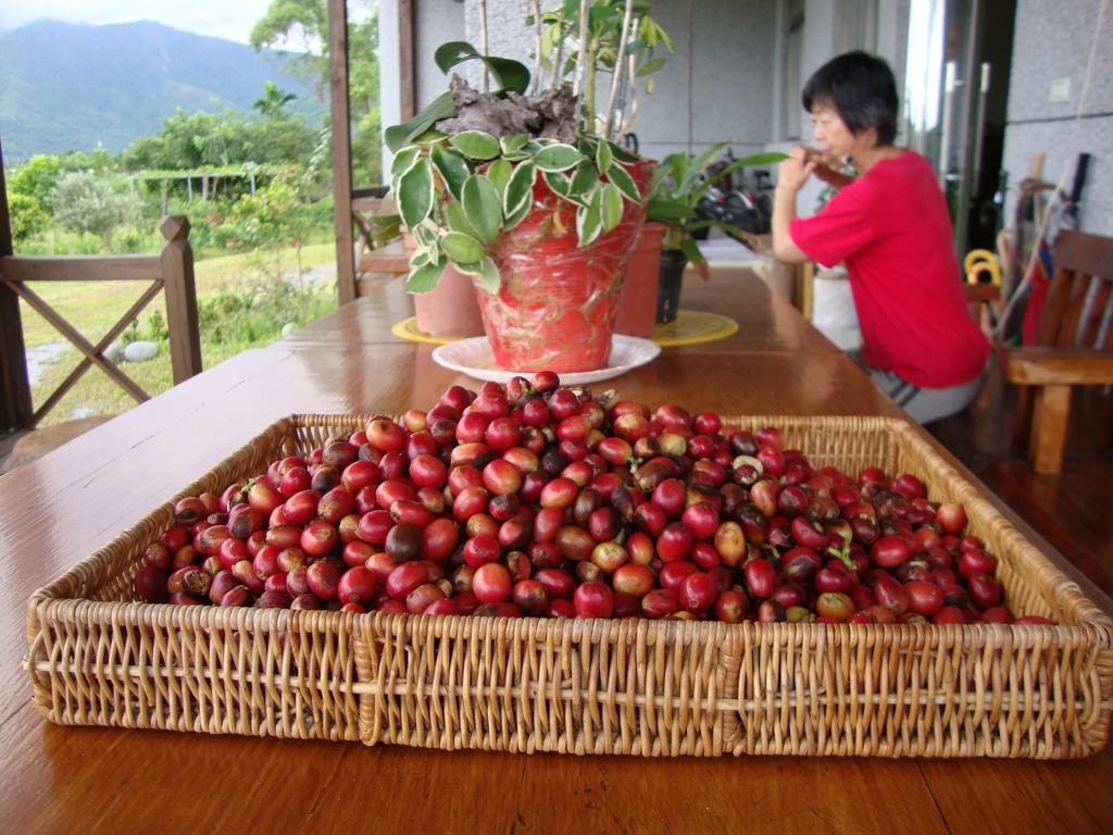 Taroko Sialin Coffee Farm Homestay Xiulin Exterior foto